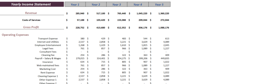 Drug Rehab Excel Financial Model Template-Income Statement (Yearly)