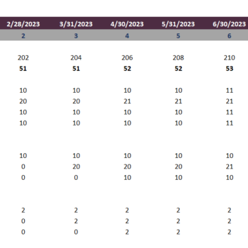 Drug Rehab Excel Financial Model Template-Revenue Analysis