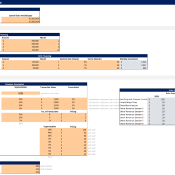 FinTech Excel Financial Model Template - Input Sheet