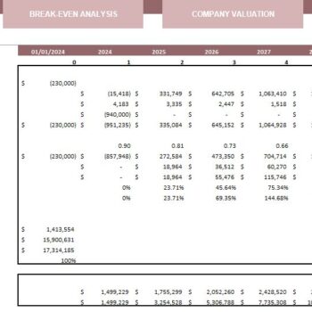 Orthopedic Center Excel Financial Model Template -Company Valuation