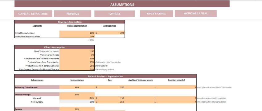 Orthopedic Center Excel Financial Model Template - Input Sheet