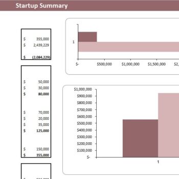 Orthopedic Center Excel Financial Model Template -Startup Summary