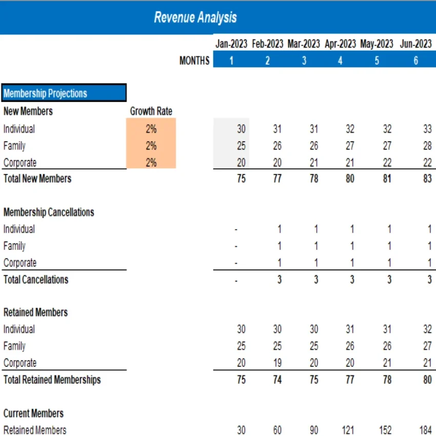 Recreation Center Excel Financial Model Projection Template - Revenue Analysis