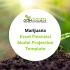 Marijuana Excel Financial Model - Product Image