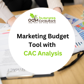 Marketing Budget Tool with CAC Analysis