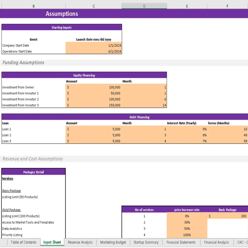 Toys Marketplace Excel Financial Model - Input Sheet