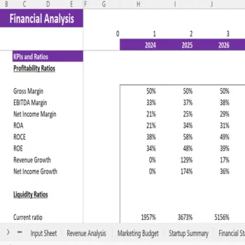 Fitness Subscription Box Financial Model - KPIs and Ratios