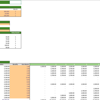 Anti-aging-Excel-Financial-Model-Template-input.png