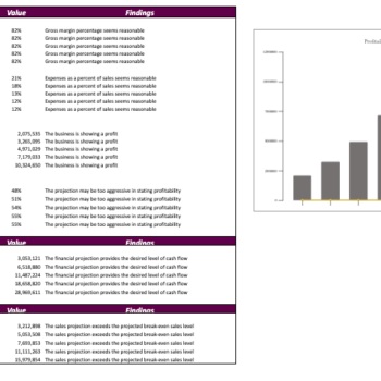 Ayurvedic Excel Financial Model Template - Image 3