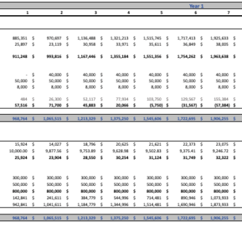 Ayurvedic Excel Financial Model Template