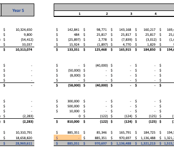 Ayurvedic Excel Financial Model Template