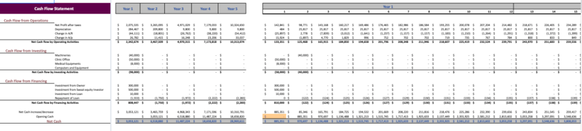 Ayurvedic Excel Financial Model Template