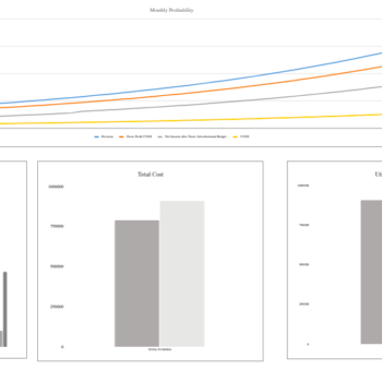 Ayurvedic Excel Financial Model Template