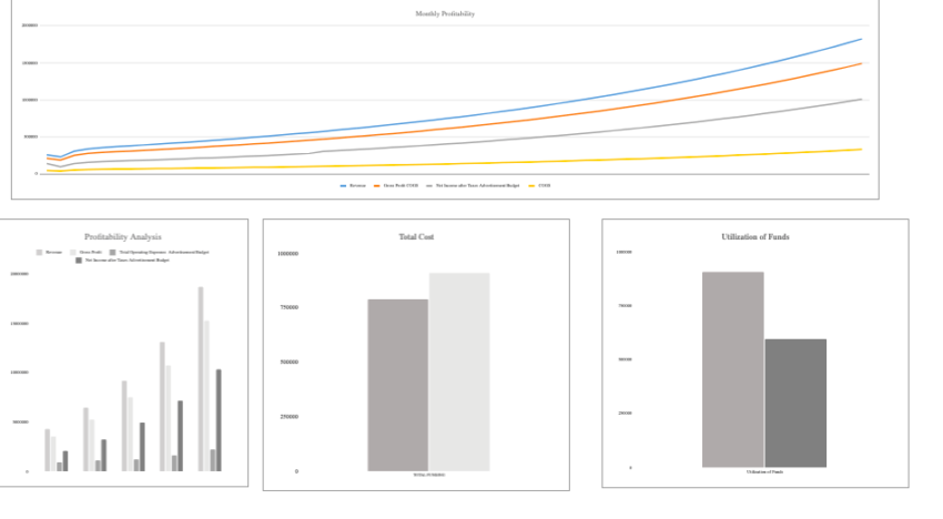 Ayurvedic Excel Financial Model Template