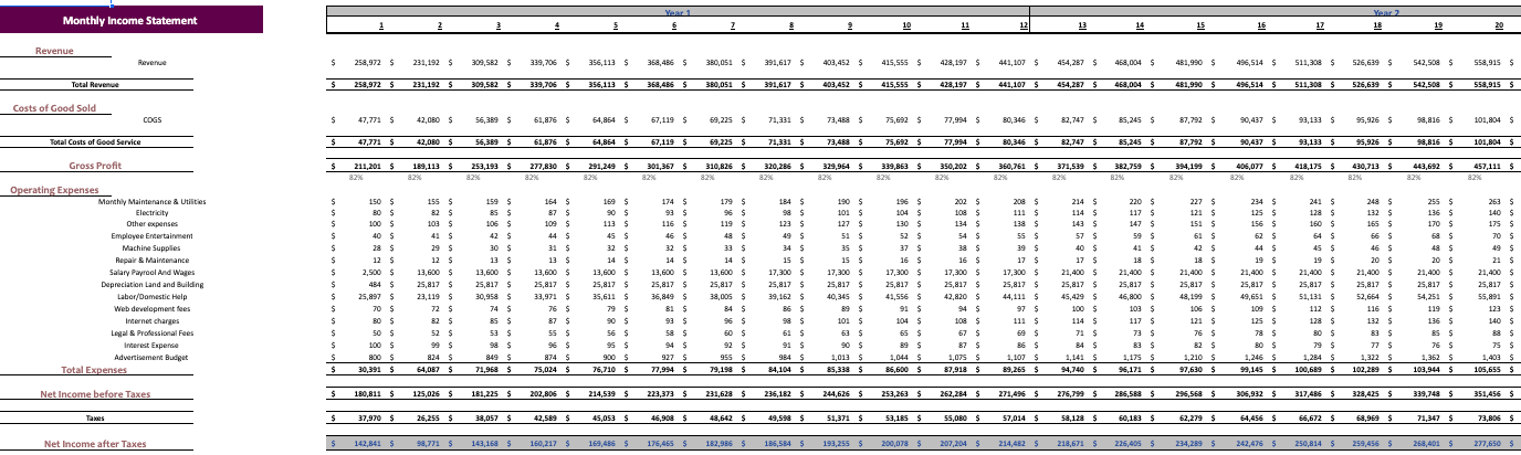 Ayurvedic Excel Financial Model Template