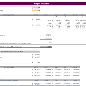 Ayurvedic Excel Financial Model Template