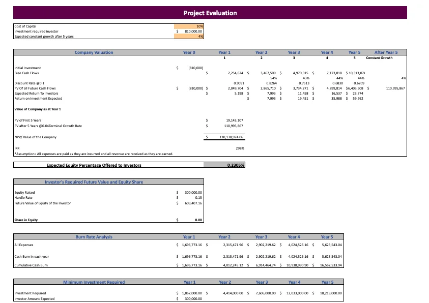 Ayurvedic Excel Financial Model Template