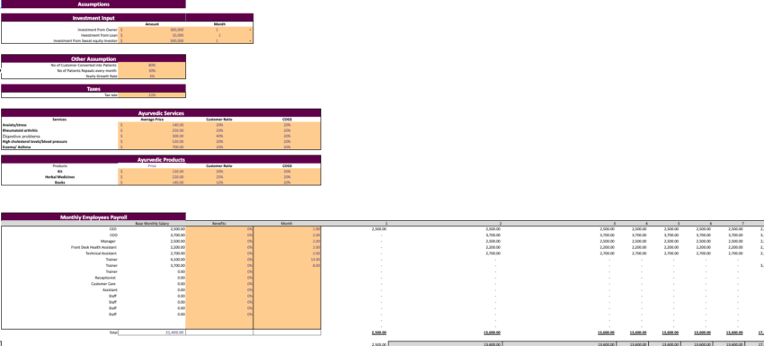 Ayurvedic-Excel-Financial-Model-Template-input.png