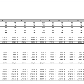 Ayurvedic Excel Financial Model Template