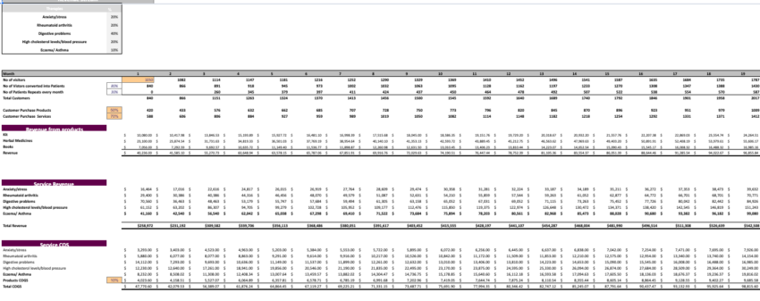 Ayurvedic Excel Financial Model Template