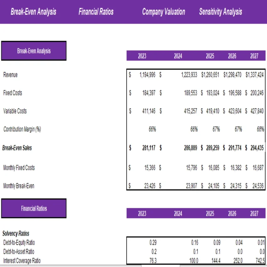 Beauty and Health Marketplace Excel Financial Model Projection Template - Financial Analysis