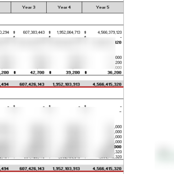 Books and Brews Excel Financial Model