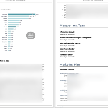 Consulting Company - Business Plan - Image 8