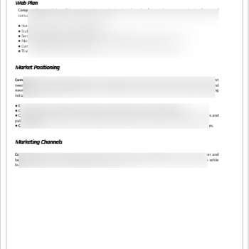 Consulting Company - Business Plan - Image 7