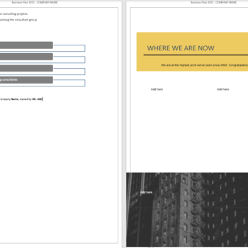 Consulting Company - Business Plan - Image 3