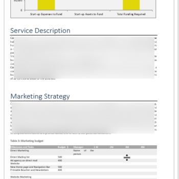 Consulting Company - Business Plan - Image 12