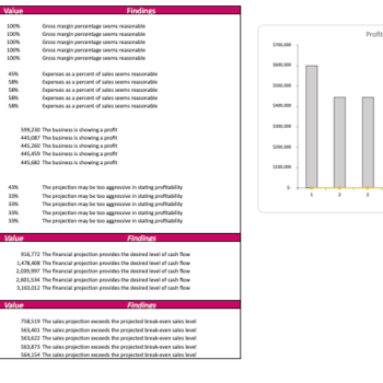 DryCleaning Excel Financial Model Template - Image 6