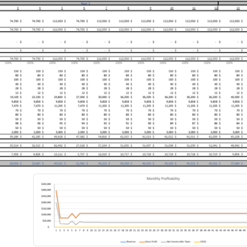 DryCleaning Excel Financial Model Template - Image 8