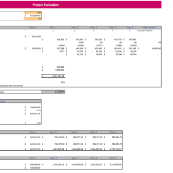 DryCleaning Excel Financial Model Template - Image 9