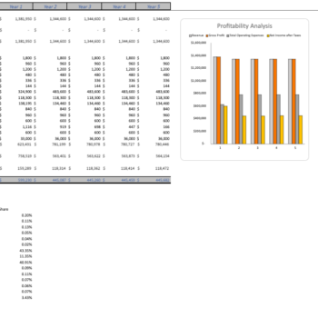 DryCleaning Excel Financial Model Template - Image 11