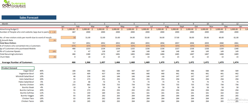 Chipotle Mexican Grills Financial Model Template