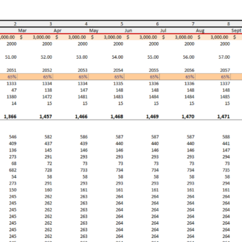 Chipotle Mexican Grills Financial Model Template