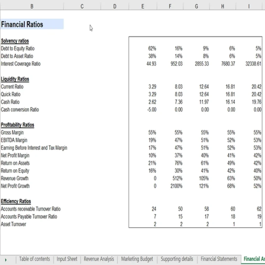 Financial Ratios