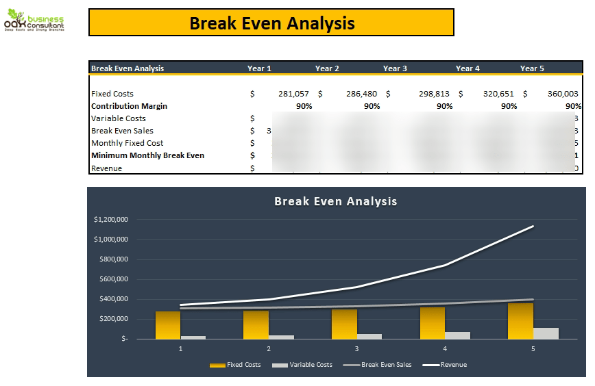 Consultant Agency Excel Financial Model