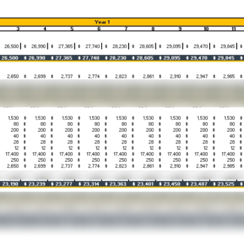 Consultant Agency Excel Financial Model