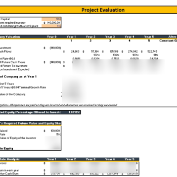 Consultant Agency Excel Financial Model