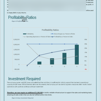 Interior Design Business Plan