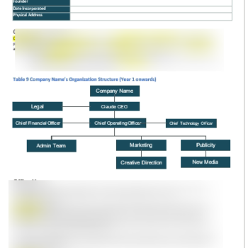 House Cleaning Business Plan-Operational_plan_2.