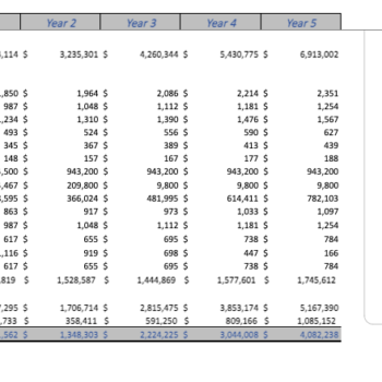 Picture-Framing-excel-Financial-Model-Template-Yearly-income-statement.png