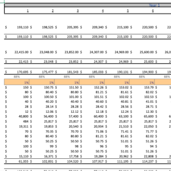 Picture-Framing-excel-Financial-Model-Template-income-statement.png