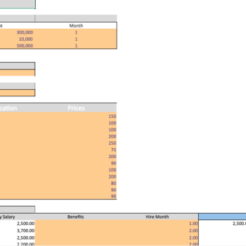 Picture-Framing-excel-Financial-Model-Template-input.png