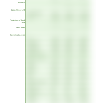 Ride Hailing Projected Income Statement.png