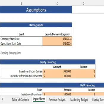 Surprise Subscription Box Financial Model - Input Sheet