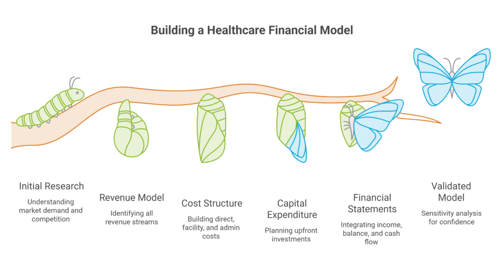 The Financial Modeling Process for Healthcare Startups