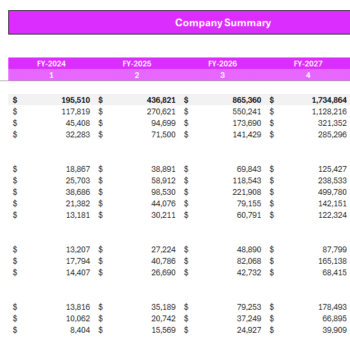 Wedding Agency Financial Model - Company Summary