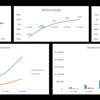 Wedding Agency Financial Model - Dashboard
